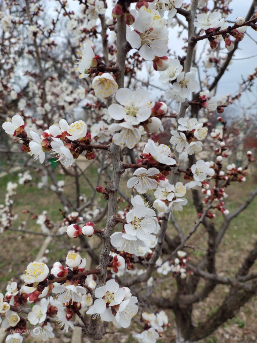 Weather Photos in Vrancea. Weather forecasts with beautiful photos by Dan Darie