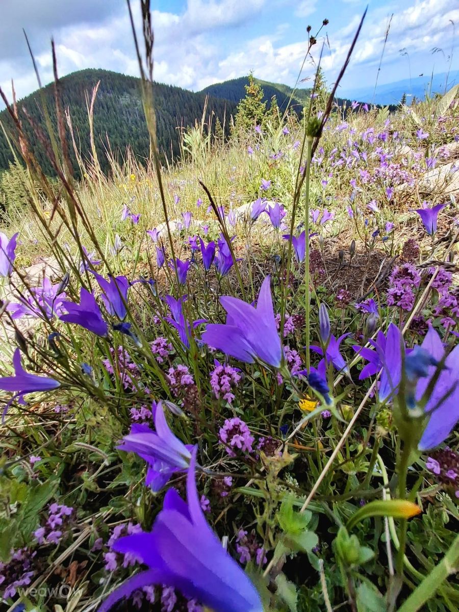 Wetter Photos Bulgarien. Wettervorhersagen mit schönen Fotos von Малина Павлова