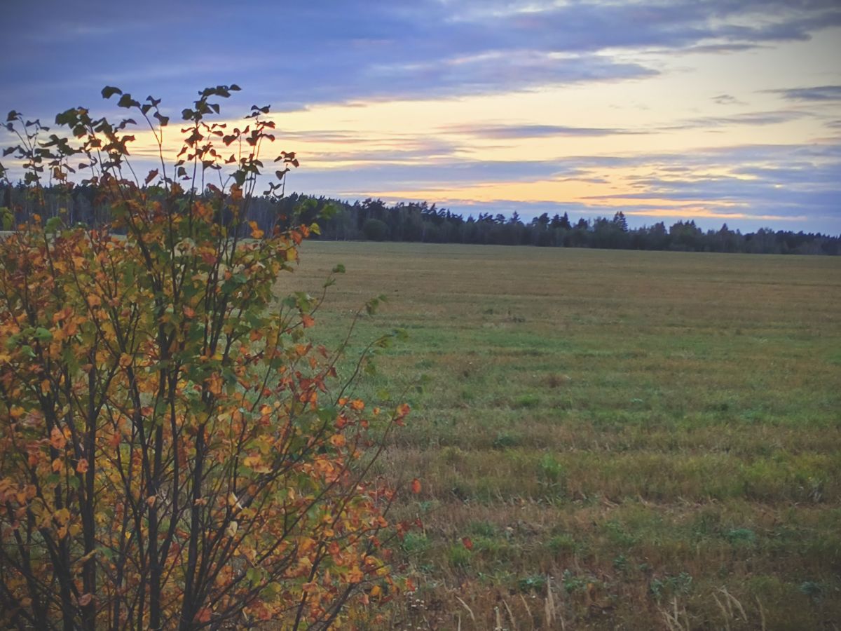 Photos météo à Taroussa. Prévisions météo avec de superbes photos de Aleksei
