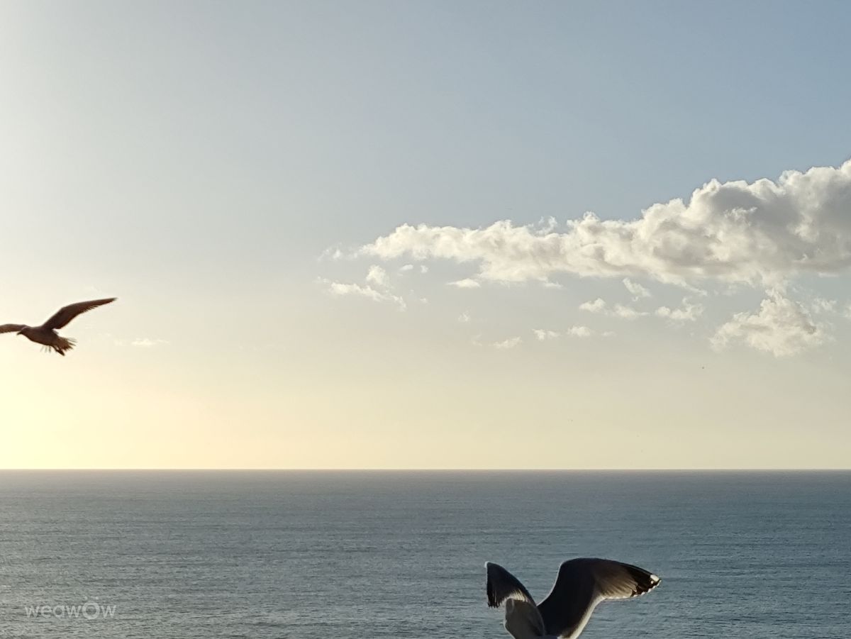 Фотограф Brtd, Фотографии Погоды в Lagos - Weawow