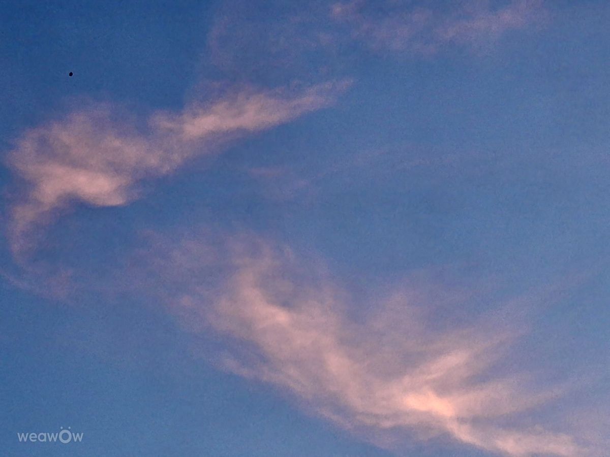 Photographe Wen-ya Huang, Photos météo à Kaohsiung - Weawow