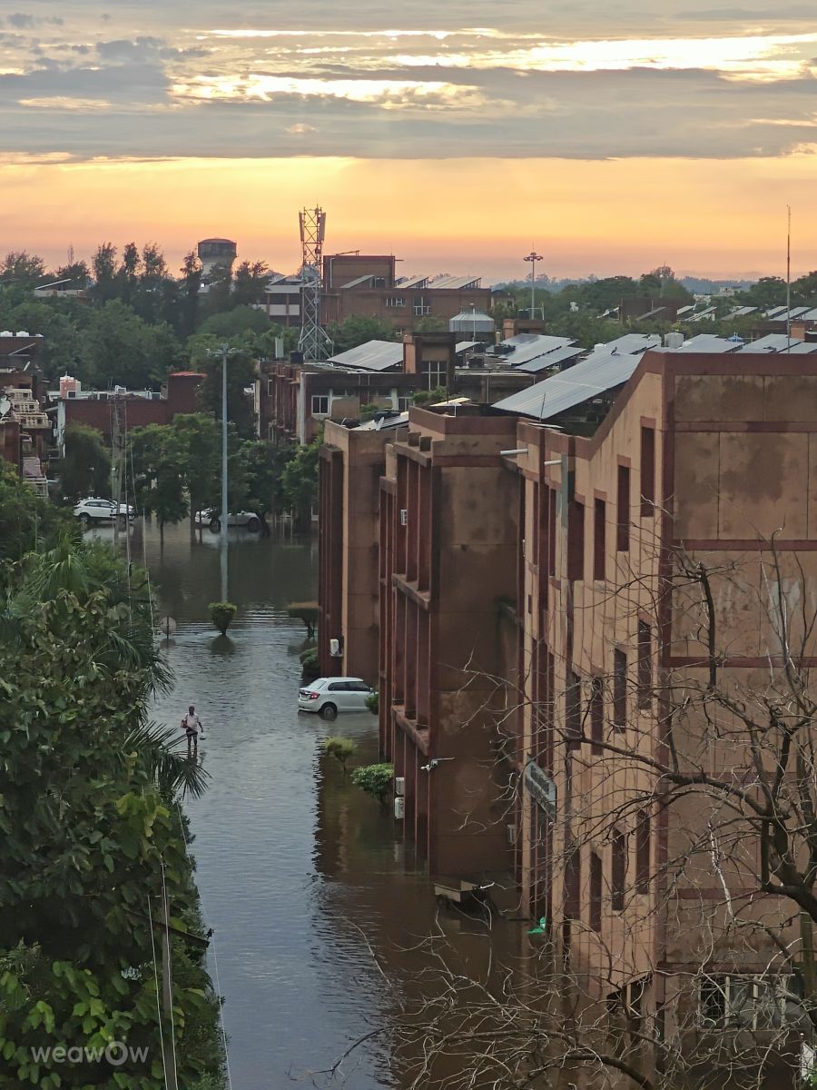 Фотографии Погоды в Харьяна. Прогнозы погоды с чудесными фотографиями, сделанными Ajaydeepsingh