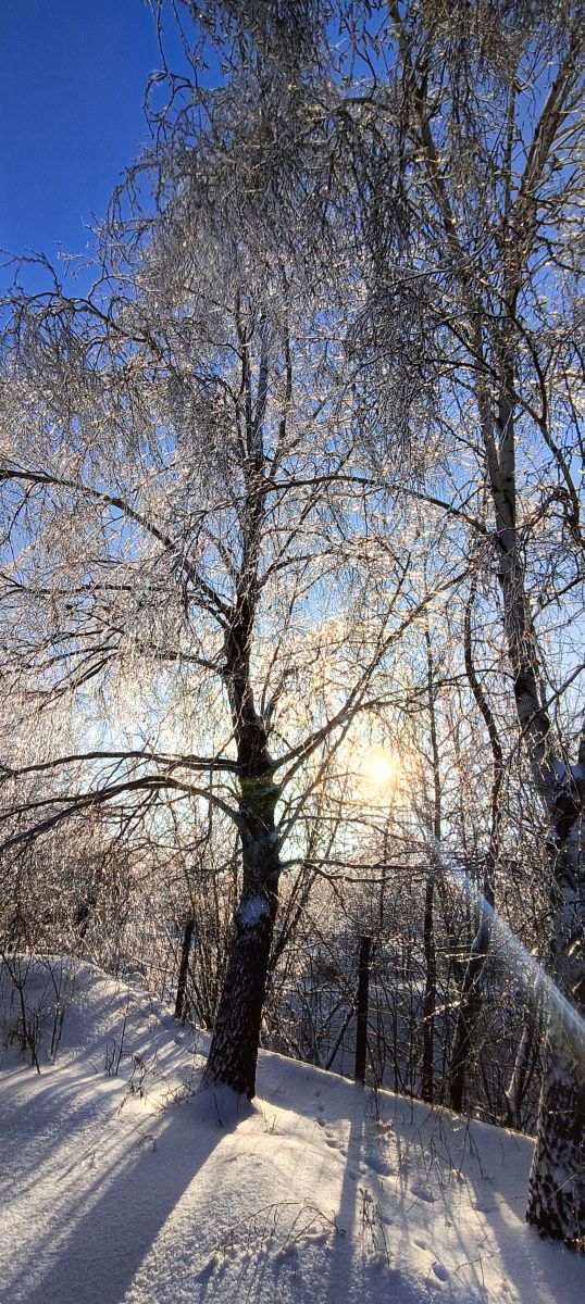 Фотографии Погоды в Киев. Прогнозы погоды с чудесными фотографиями, сделанными Michael_1969