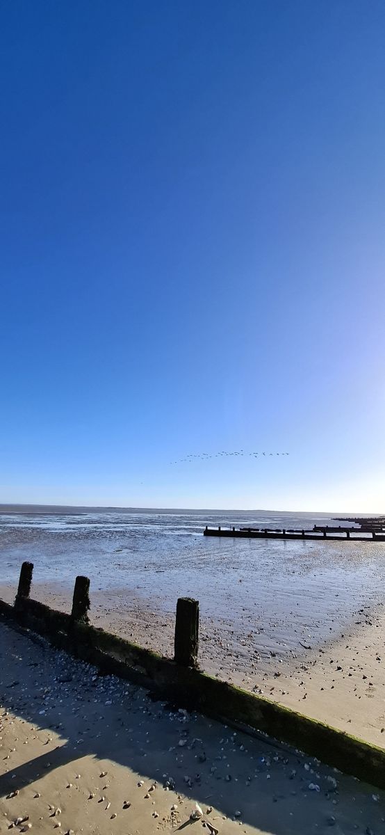 写真家 Lolli、Leysdown-on-Seaの天気写真 - Weawow