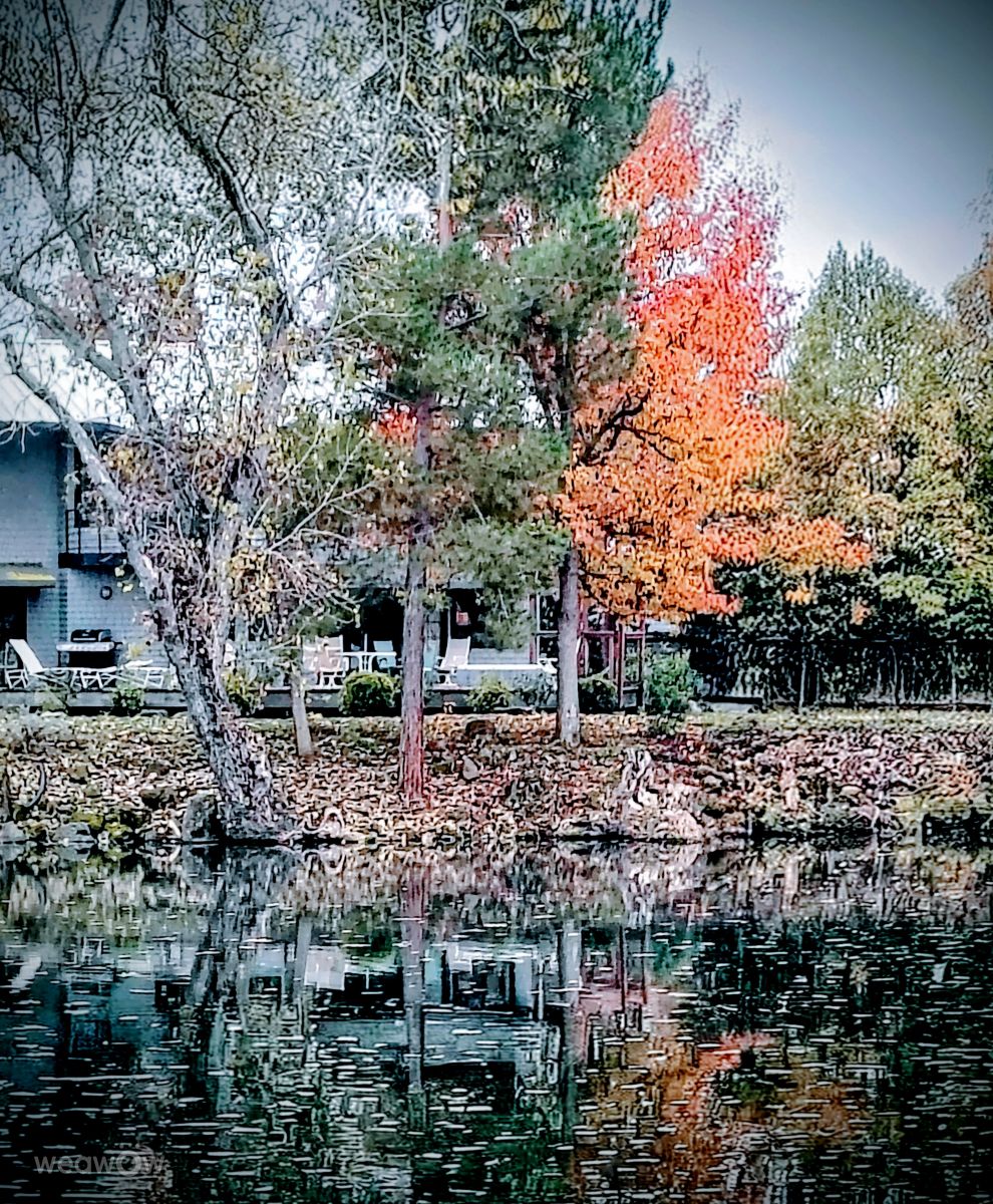 奇科的天气照片. 天气预报，带Ghostroku精美的照片