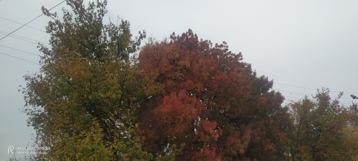 Фотографии Погоды в Одесская область. Прогнозы погоды с чудесными фотографиями, сделанными Alexandr60