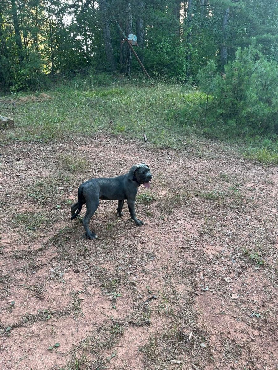 Фотографии Погоды в Radomir. Прогнозы погоды с чудесными фотографиями, сделанными Мирославa