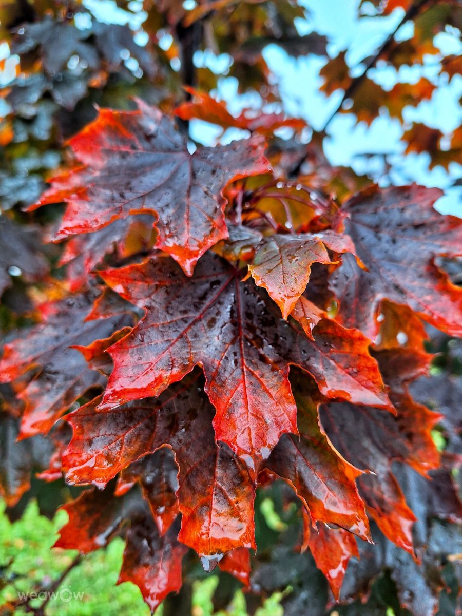 Фотографии Погоды в Габрово. Прогнозы погоды с чудесными фотографиями, сделанными Nencho Penchev