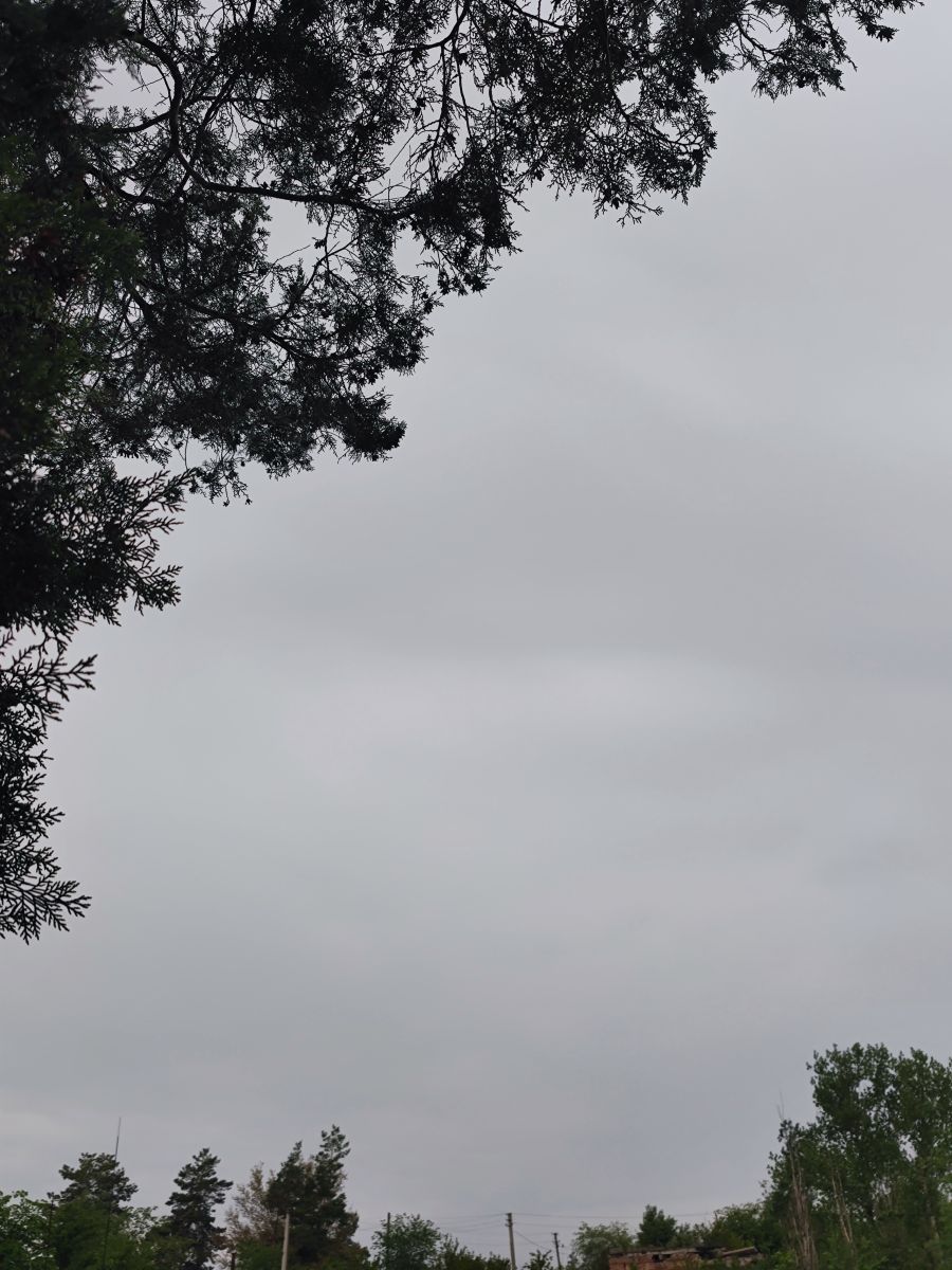 Weather Photos in Luhansk. Weather forecasts with beautiful photos by Юлия Бойко