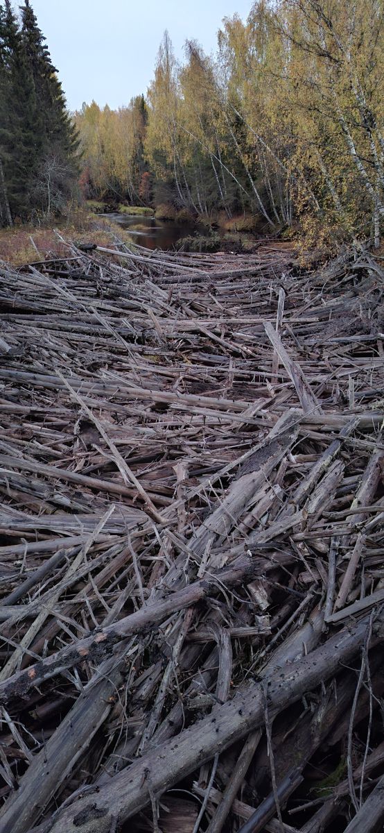 Fotos do tempo em Kirov. Previsões do tempo com lindas fotos de Alexeyt