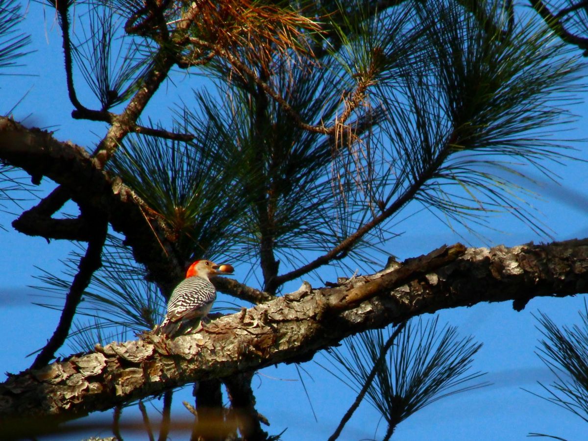 Weather Photos in Florida. Weather forecasts with beautiful photos by MrFriendlyBen