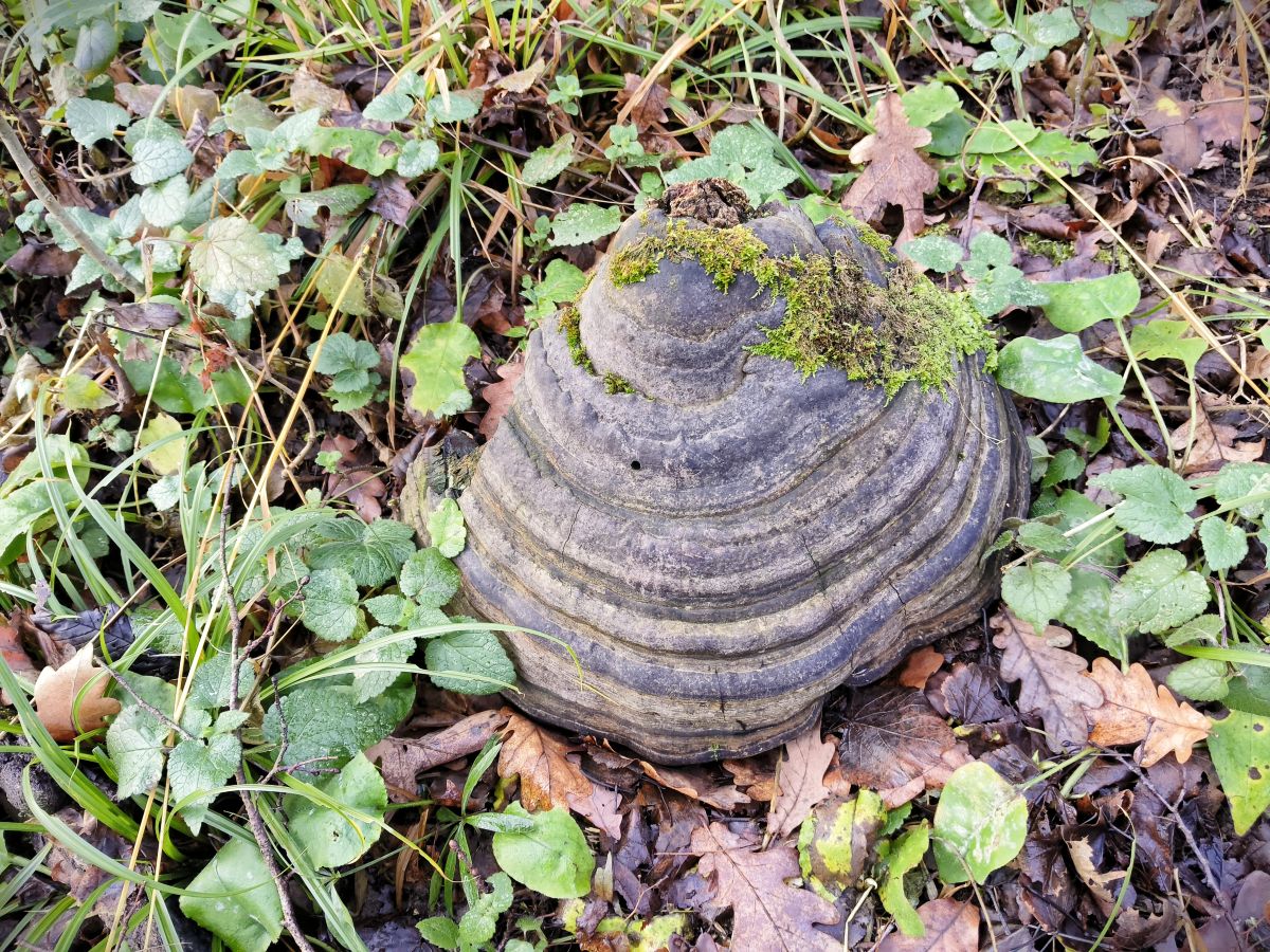 摄影师 Aleksei，Yasnaya Polyana的天气照片 - Weawow