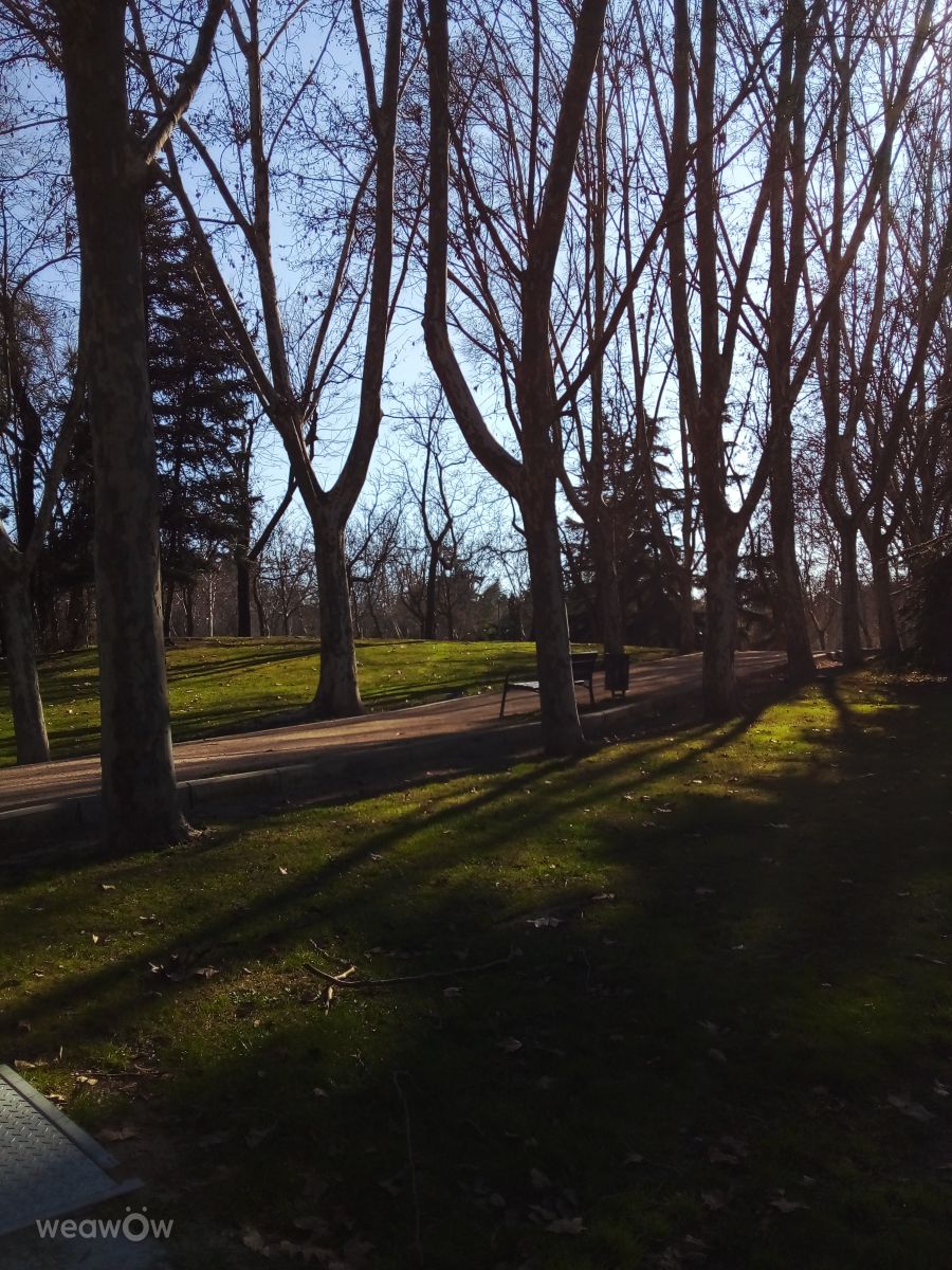 Photographer Anagaliciag, Weather Photos in Madrid - Weawow