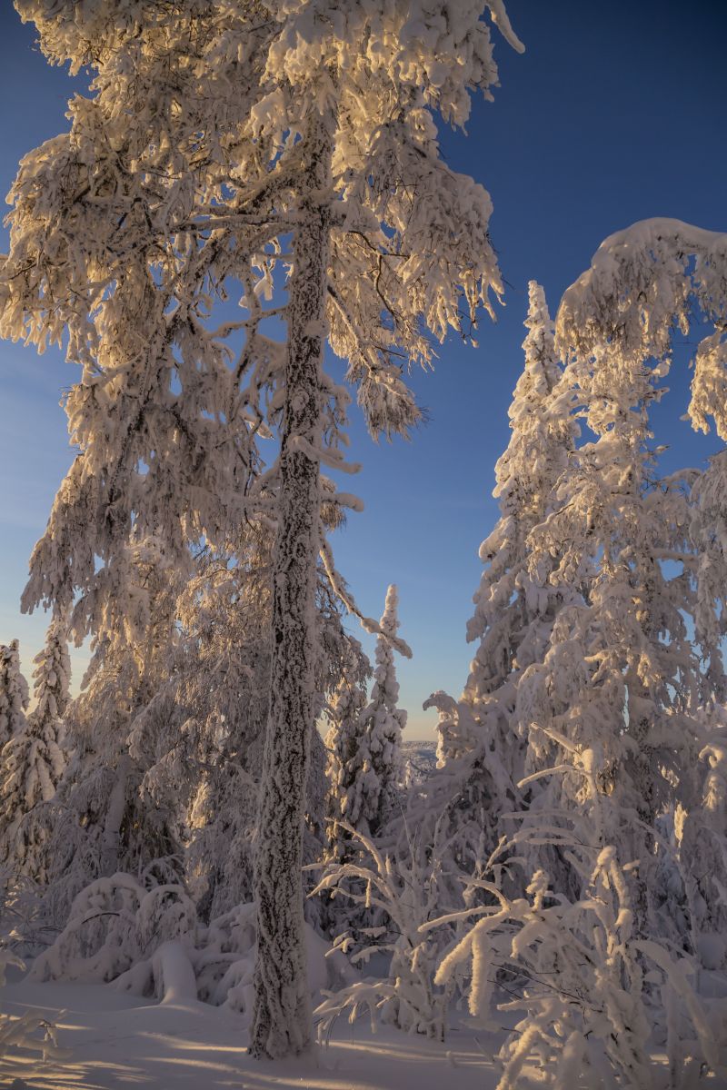 Photos météo à République de Bachkirie. Prévisions météo avec de superbes photos de Nymph542