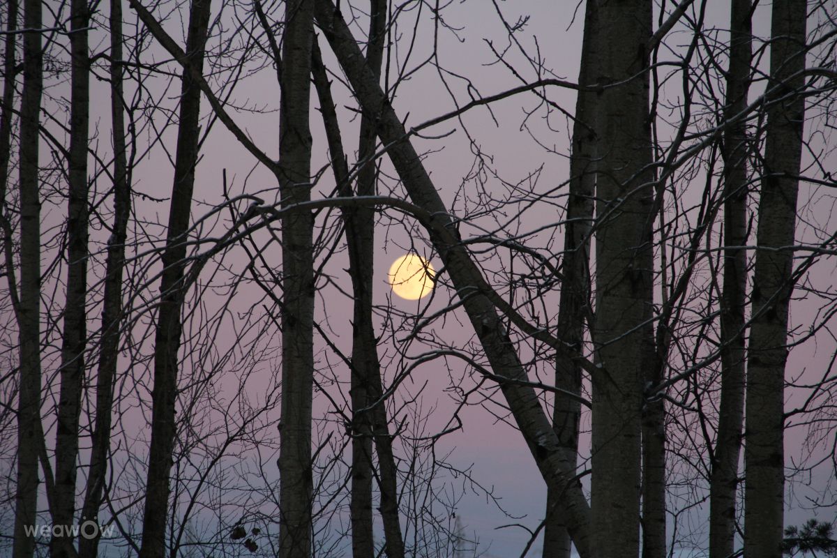 Weather Photos in Stantsiya Lavriki. Weather forecasts with beautiful photos by urubu