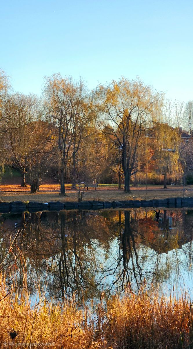 Photograph KevinG, Wetter Photos Beaverbrook - Weawow