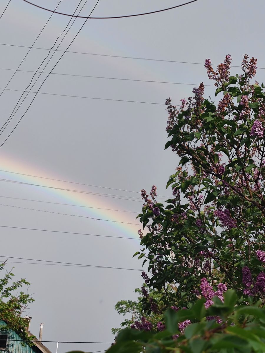 Weather Photos in Luhansk. Weather forecasts with beautiful photos by Юлия Бойко