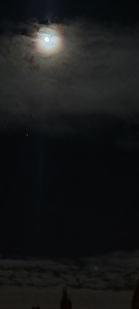 Photographer Tercis, Weather Photos in Ettlingen - Weawow