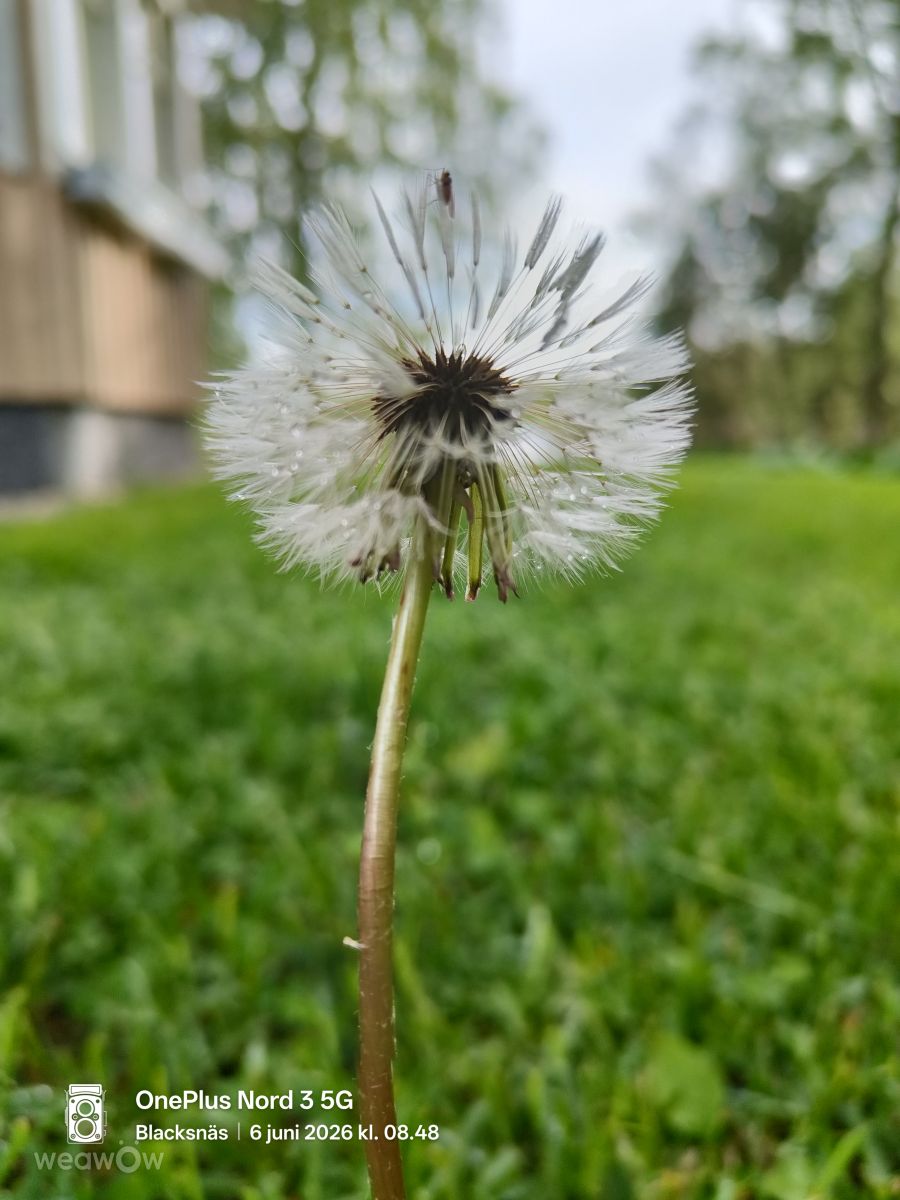芬兰的天气照片. 天气预报，带AnnaPanna精美的照片
