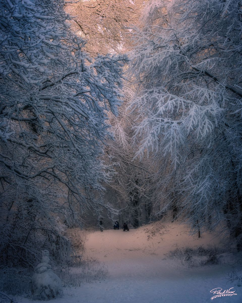 Photographer RobertNagaj, Weather Photos in Hamburg - Weawow