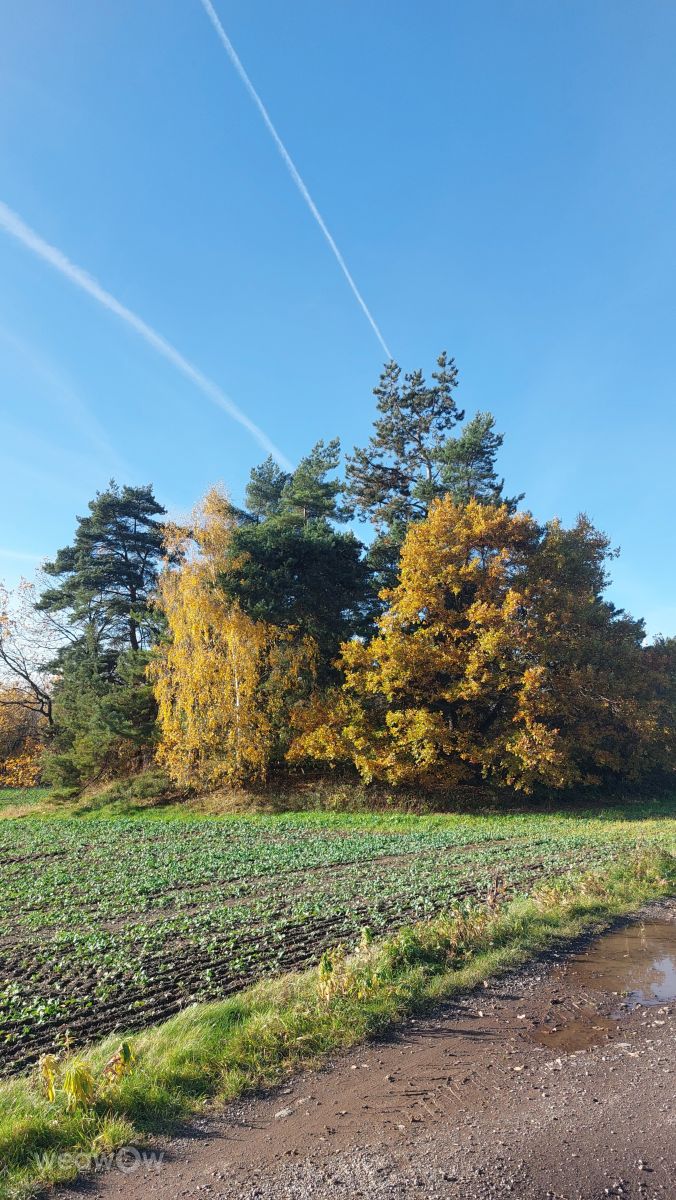 Fotografos MaLou, Fotos do tempo em Freiberga - Weawow