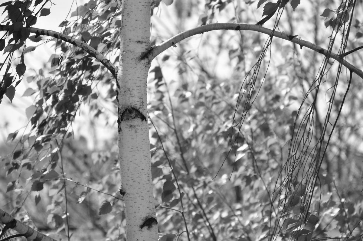 Uzhgorod的天气照片. 天气预报，带kriotis精美的照片