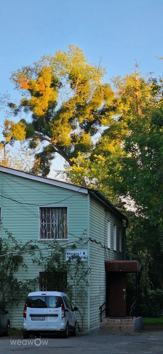 Фотографии Погоды в Киев. Прогнозы погоды с чудесными фотографиями, сделанными Федір Літвін