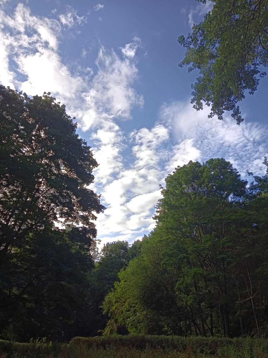 Photographer Amanda_and_Valdemar_Che, Weather Photos in Izmaylovo District - Weawow