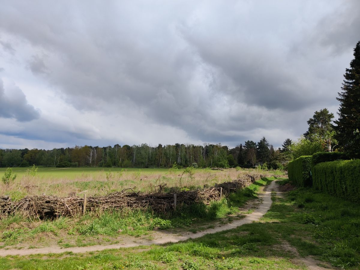 Fotografos Zorrra, Fotos do tempo em Kladow - Weawow