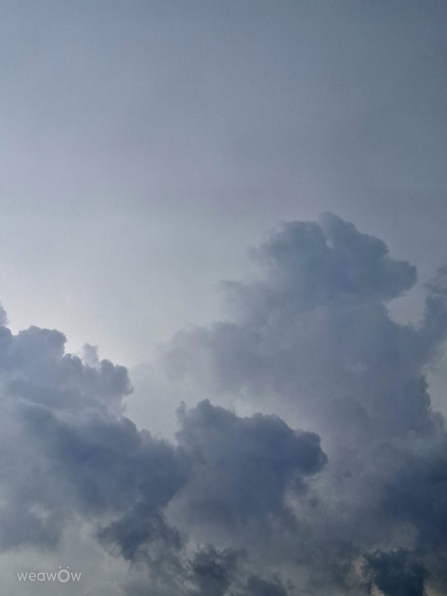 Photographer Wen-ya Huang, Weather Photos in Kaohsiung City - Weawow