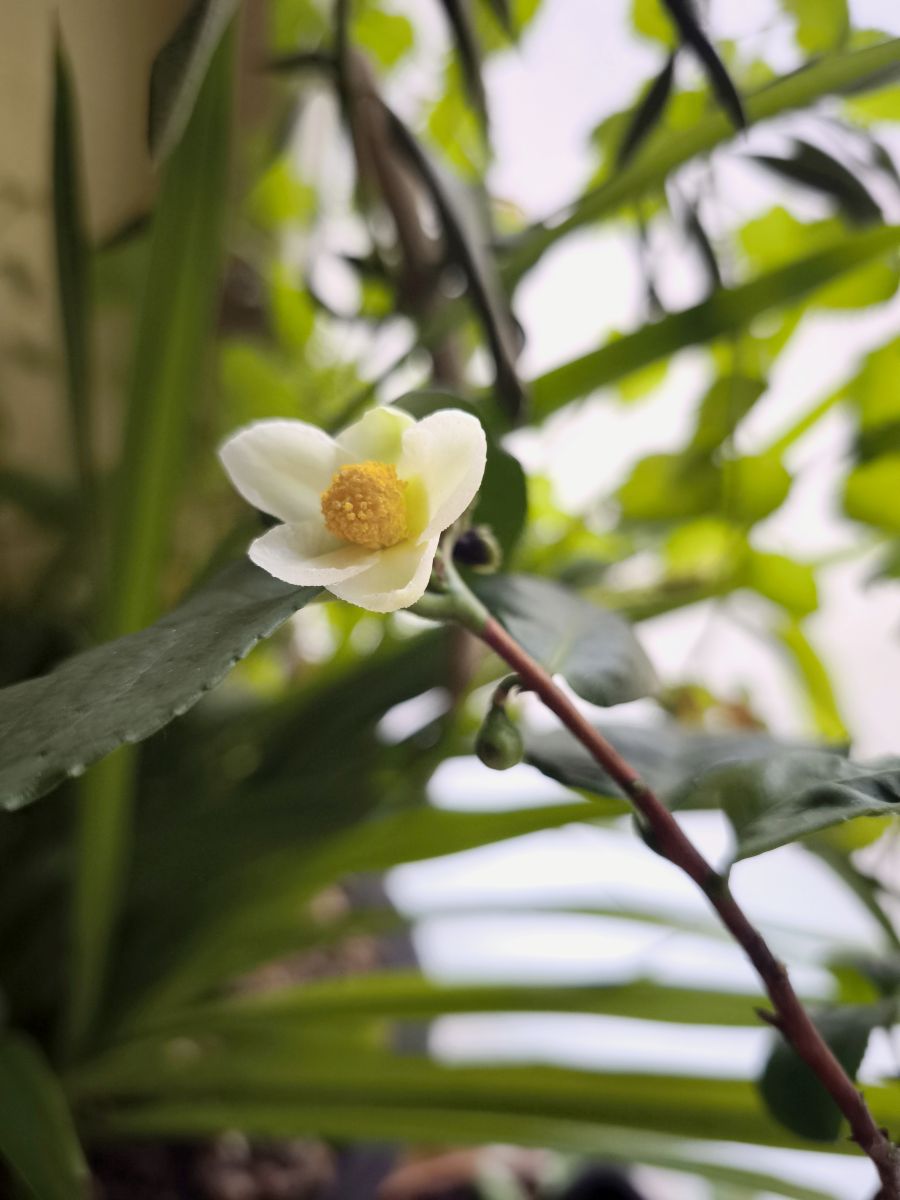 Photographer Amanda_and_Valdemar_Che, Weather Photos in Izmaylovo District - Weawow