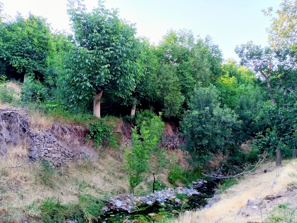 Photographer fromIran, Weather Photos in Kermjgan - Weawow