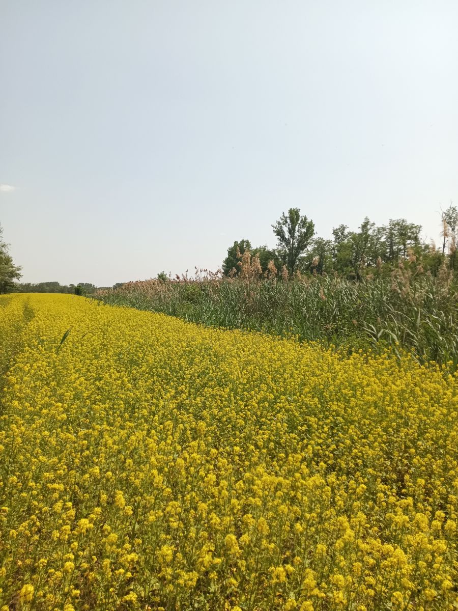 Weather Photos in Krasnodar Krai. Weather forecasts with beautiful photos by Aldabair