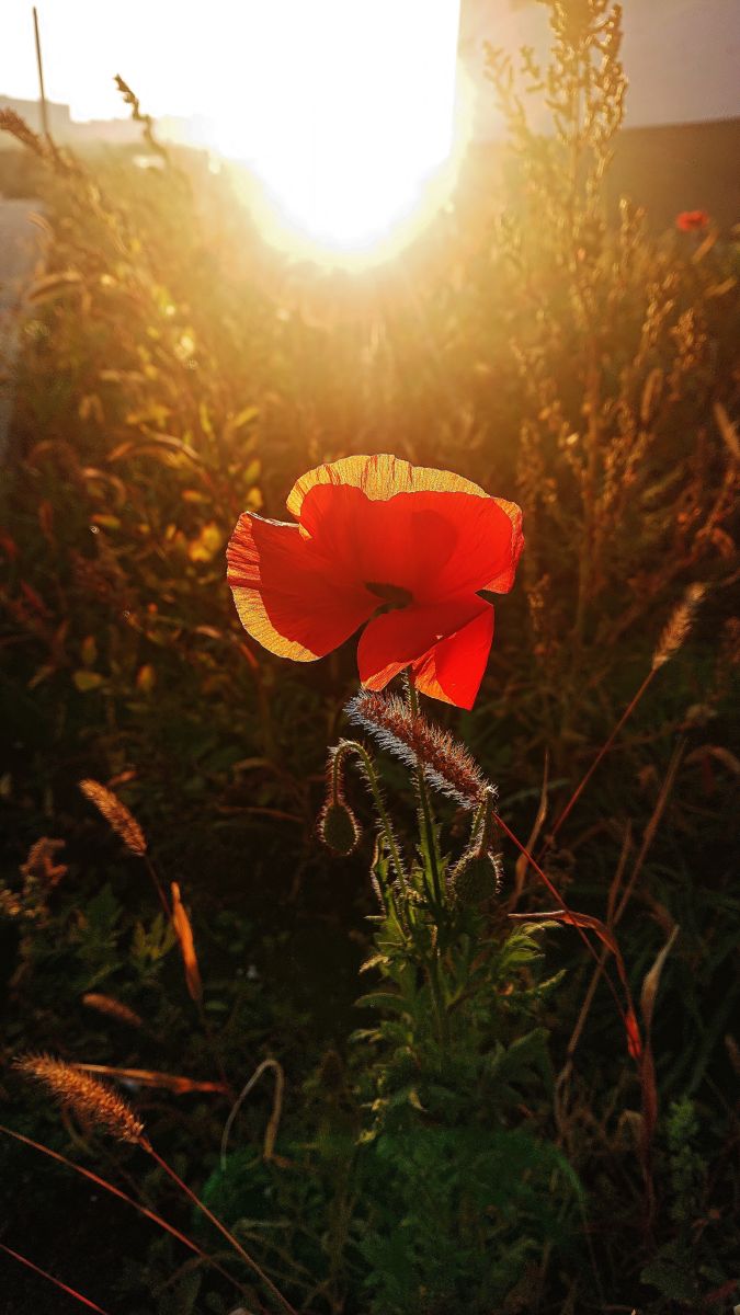 Weather Photos in Kharkivs’ka Oblast’. Weather forecasts with beautiful photos by Михаил Гавриков