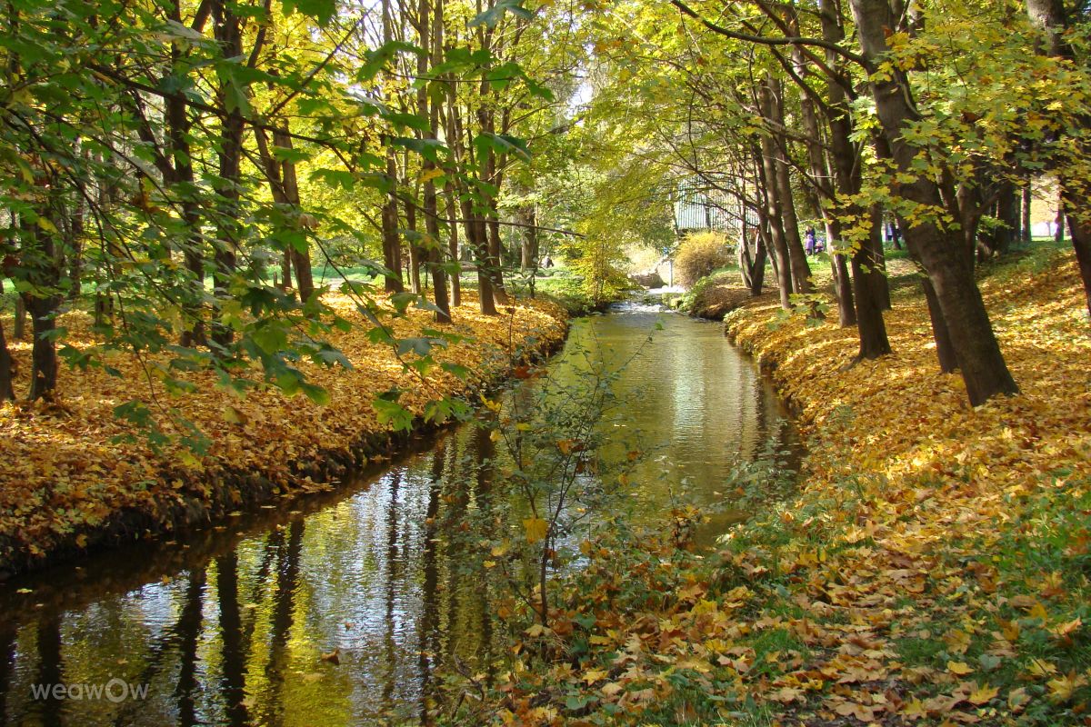 Fotos do tempo em Ternopil. Previsões do tempo com lindas fotos de Дмитро_Кривий-1