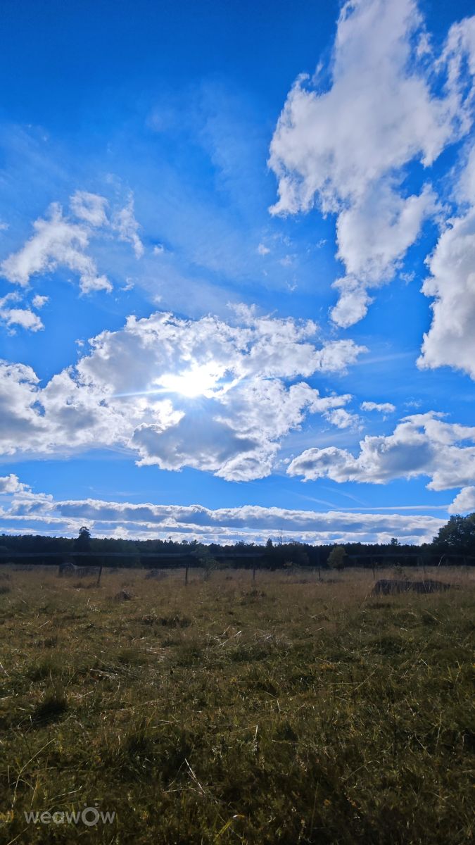 Photographer uppsalaunge, Weather Photos in Uppsala - Weawow