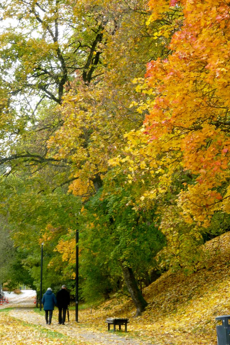 Fotos do tempo em Vilnius. Previsões do tempo com lindas fotos de Luka