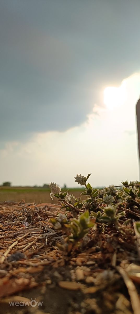 Hình ảnh Thời tiết ở Central Luzon. Dự báo thời tiết với những bức ảnh đẹp của Generix