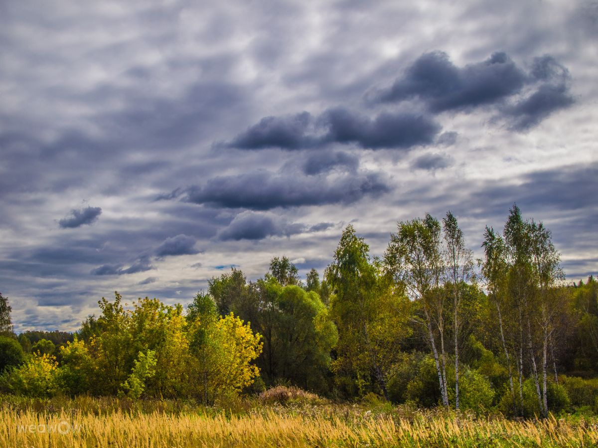 Fotos do tempo em Mikhnevo. Previsões do tempo com lindas fotos de Alex_M_Pakarev