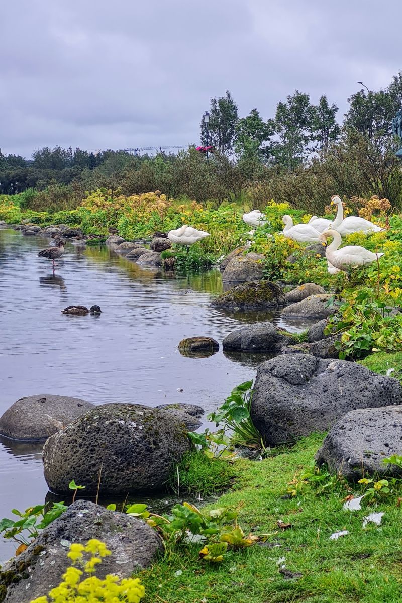 Weather forecasts with beautiful photos by eyjolfur
