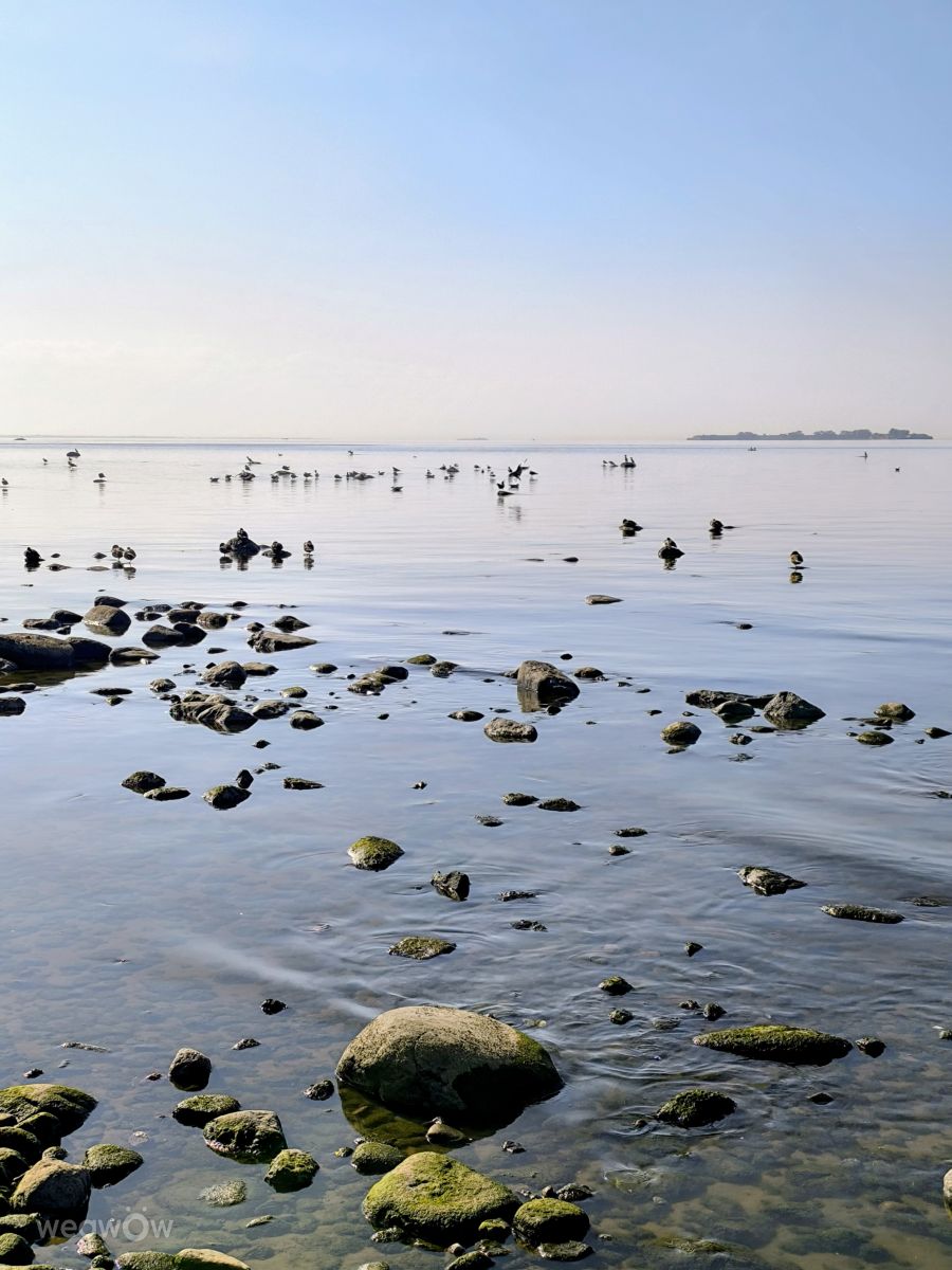 Leningrad的天气照片. 天气预报，带Jea精美的照片