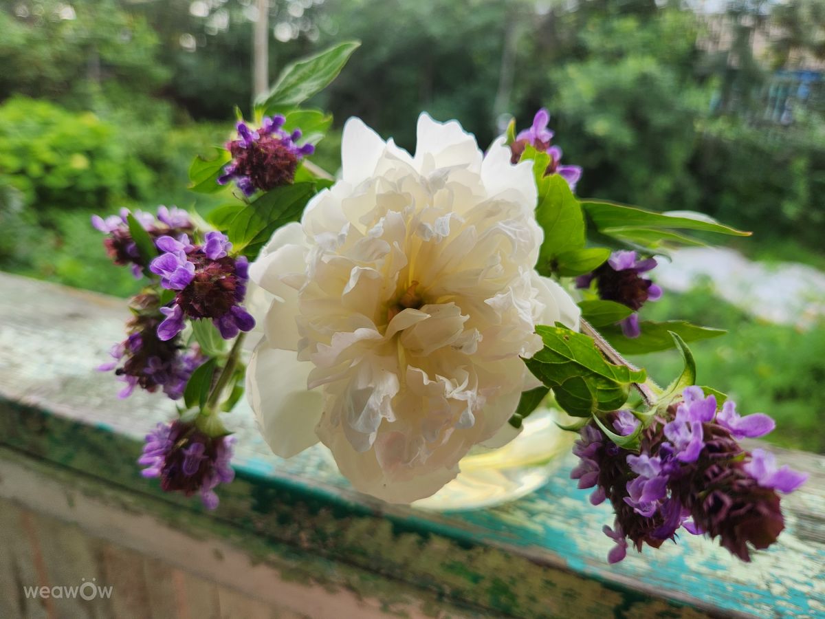 Photos météo à Oblast de Penza. Prévisions météo avec de superbes photos de ElenaOlsen