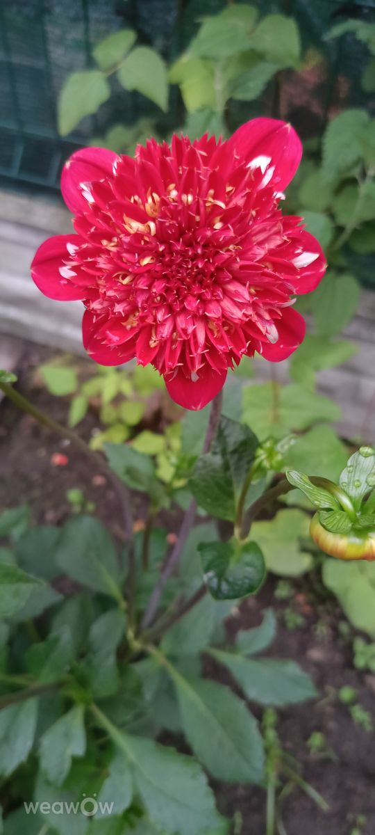 Fotos do tempo em Orzysz. Previsões do tempo com lindas fotos de Joanna Taci