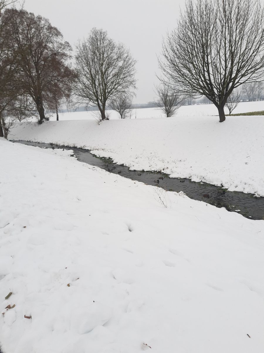 Fotografos Piškot, Fotos do tempo em Bohunovice - Weawow