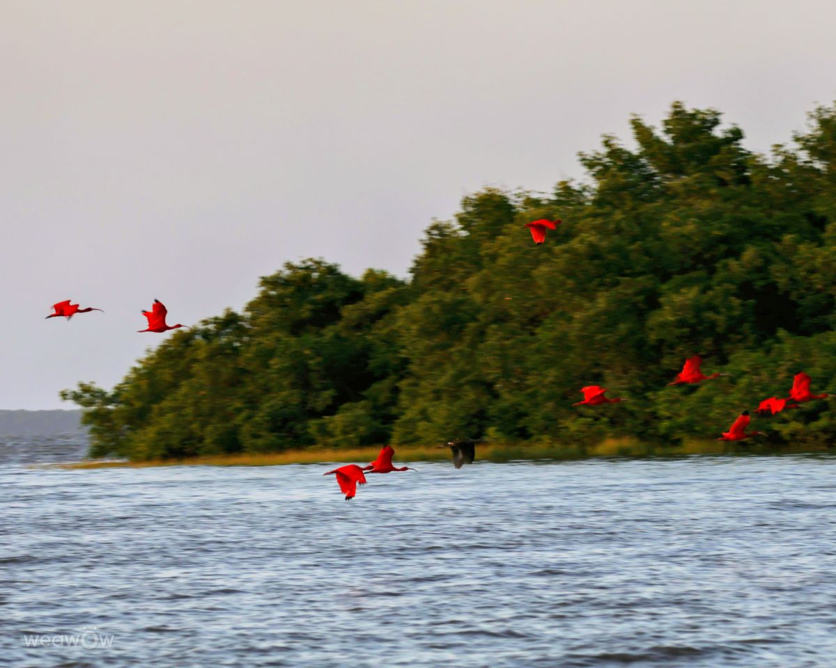 Weather Photos in Maranhao. Weather forecasts with beautiful photos by VIAꓨEM_E_HISTÓЯIA
