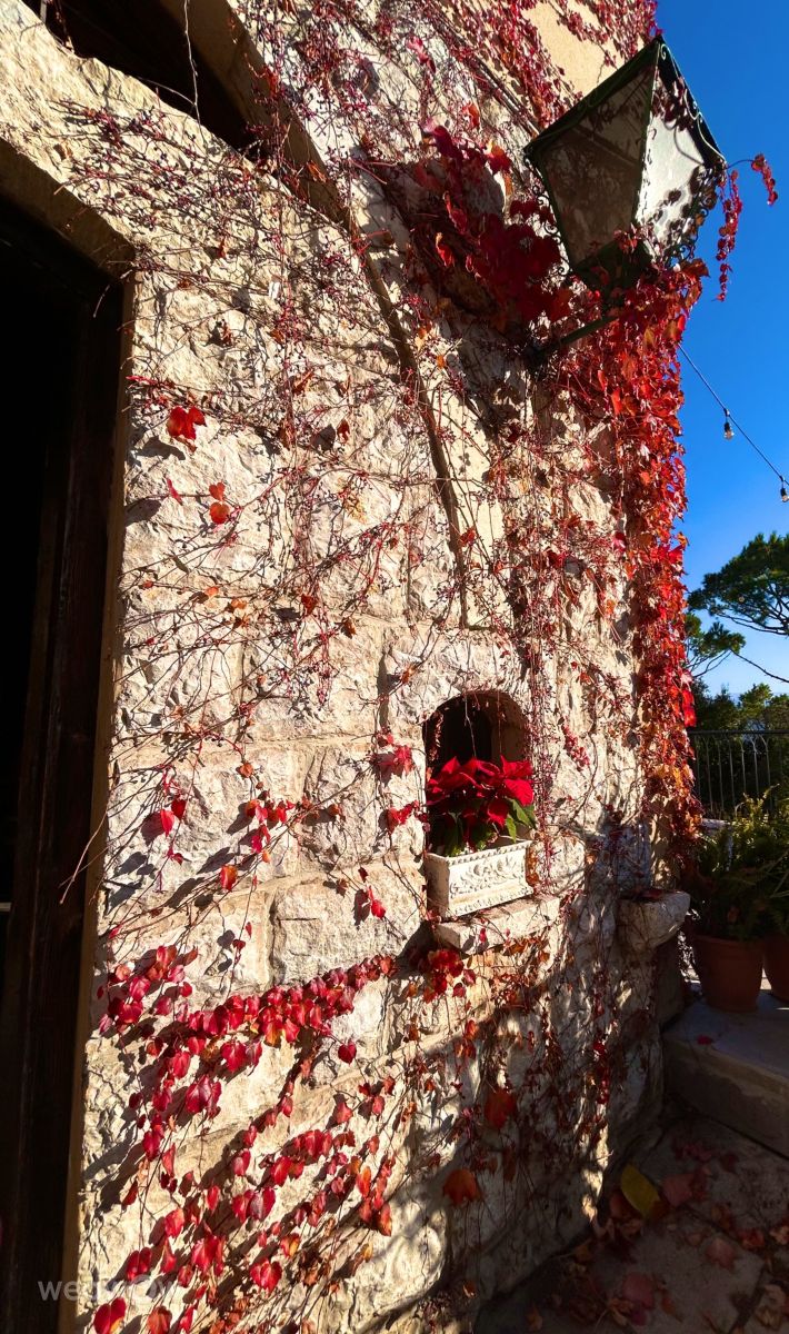 ベイルートの天気写真. Medusahraの美しい写真による天気予報