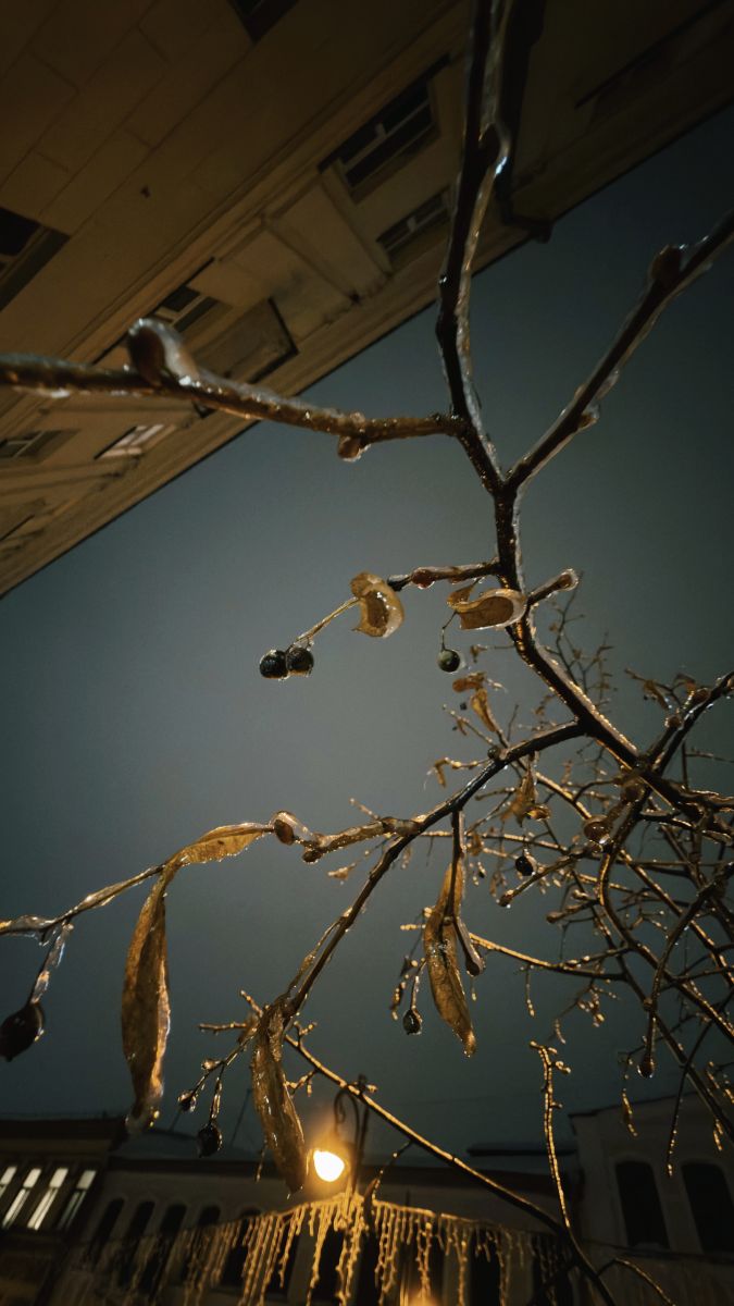 Fotos do tempo em Minsk. Previsões do tempo com lindas fotos de Gastronom