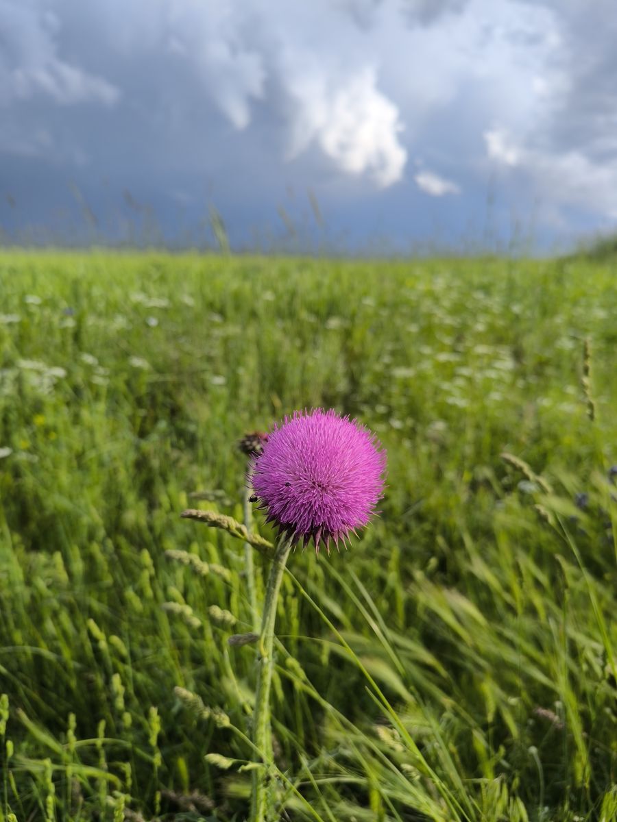 Weather forecasts with beautiful photos by Cankat