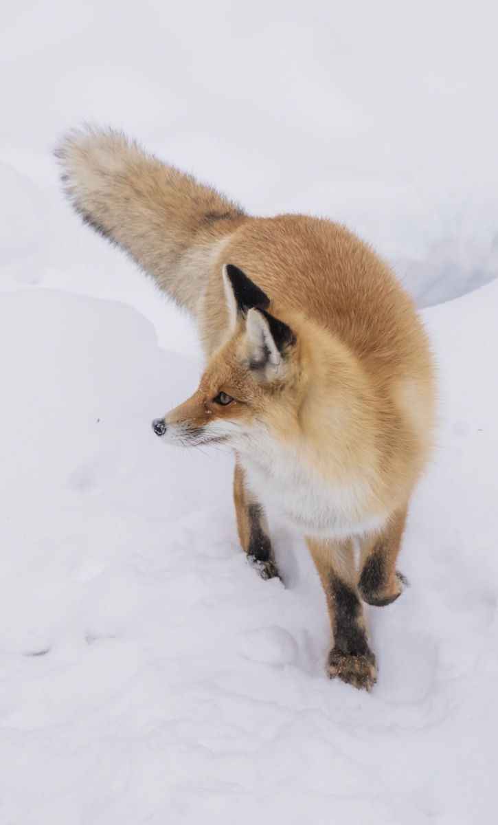 Weather Photos in Beloretsk. Weather forecasts with beautiful photos by Nymph542