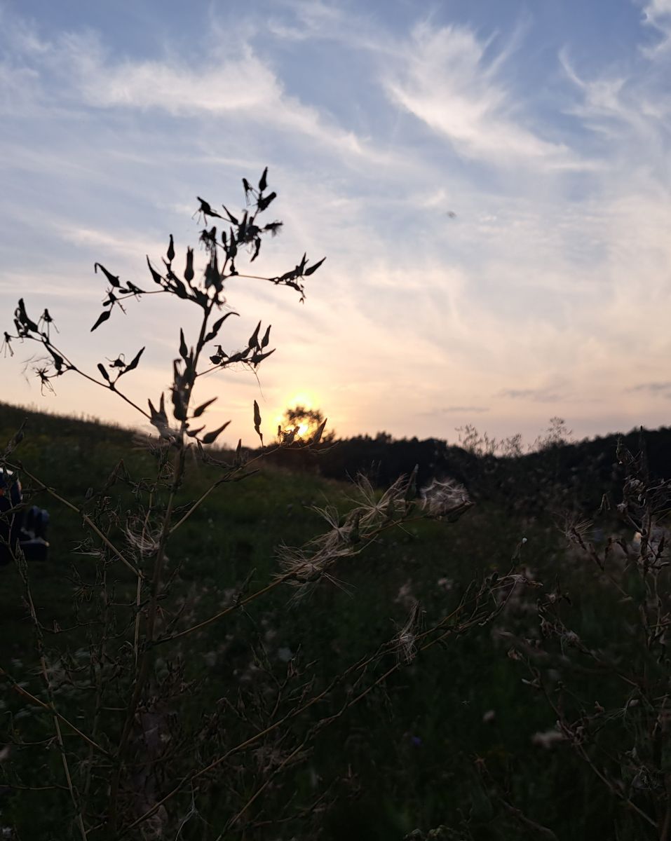 Фотографии Погоды в Белгородская Область. Прогнозы погоды с чудесными фотографиями, сделанными Sviatoslav